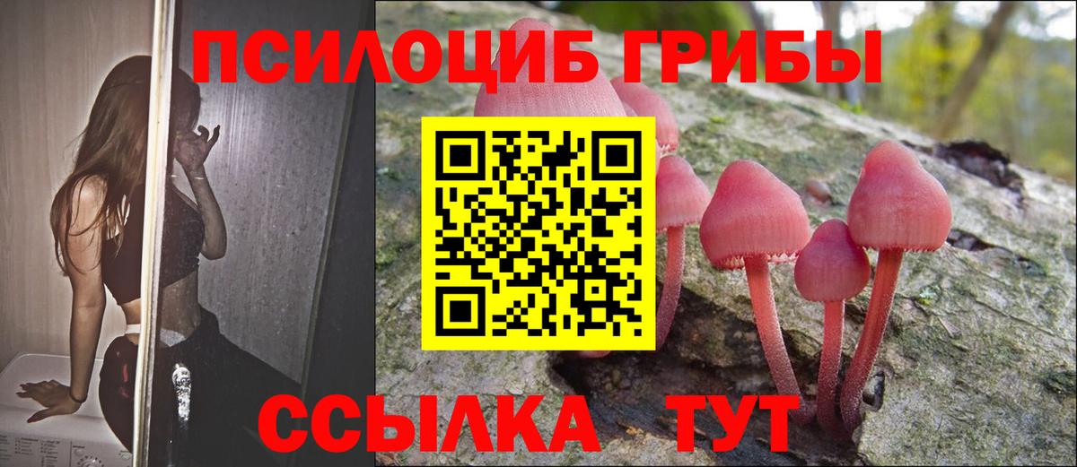 Галлюциногенные грибы мицелий Краснознаменск
