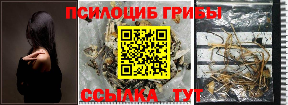 Галлюциногенные грибы Cubensis  Псилоцибиновые грибы Psilocybine cubensis  Вход с VPN  Краснознаменск 